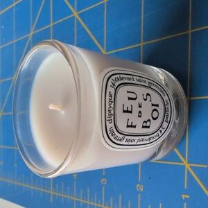 Diptyque Feu de Bois Scented Candle in Clear Glass
